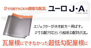 z̉ɑΉhЊu[iE`v